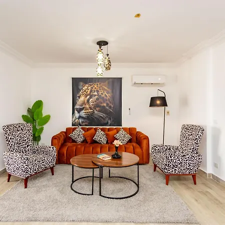 Nasr City Apt , 5 Min To City Stars Mall & More-3